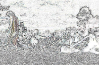t_Did04-202a.jpg